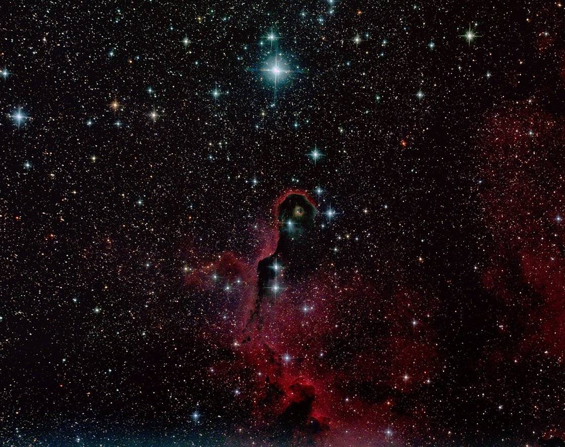 Elephant Trunk Nebula